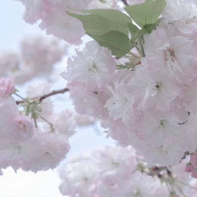 云城FurryQQ群介绍